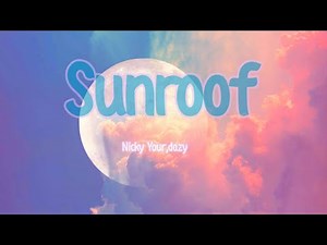 Nicky Youre, dazy - Sunroof (lyrics)