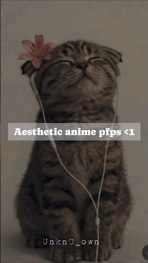 Anime pfps ☆ミ🌸 pt.1........... #pfpideas #animepfps #aesthetic #anime