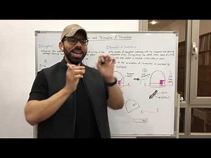 Elongation and Termination of Translation