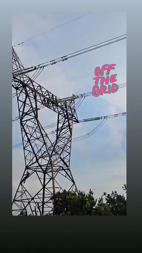 59K views · 224 reactions | Crazy monkey | Moblaqq Shows | Facebook