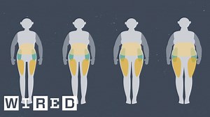 The science behind weight management.