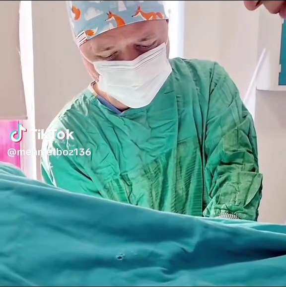 NORMAL DOGUM. DR. MEHMET BOZ