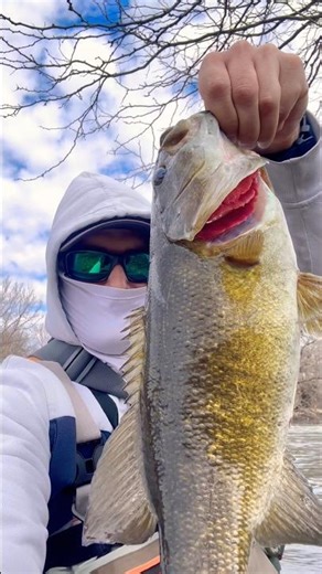 This river bite is absolutely insane #fishing #bassfishing