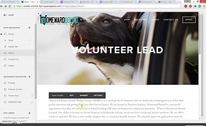 How to Add a Donate Button