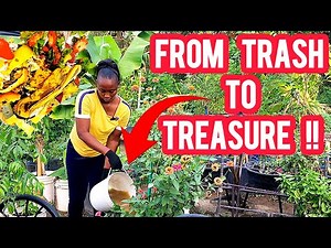 Your Plants Will Love This! Kitchen Scraps To Liquid Gold🥇