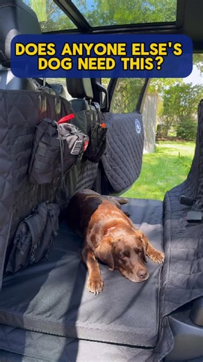 Dog parents who love road trips — you’re gonna want this 👇 This is not just another seat cover. This one’s got: 🧵 MOLLE webbing to completely customize your setup. 🛡️ Full backseat coverage — doors included. 💧 Waterproof, durable, built to last. 🐾 Safe, secure, and adventure-ready. Perfect your adventure load-out while keeping your backseat pup friendly and protected. #doggear #tacticalgear #molle #dogseatcover #carprotection #doglife #ruffliners #xlfloorcover #TacticalDog #TruckSetup #Offr
