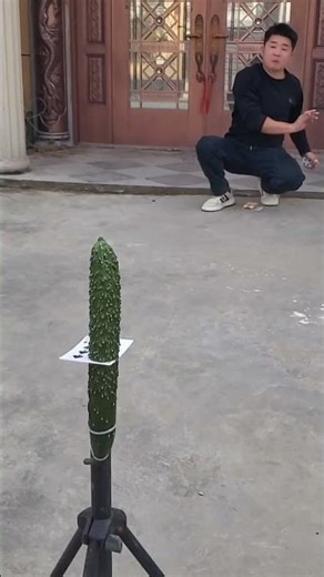 💥🃏🥒Flying card unique skills incredible trend life growth star #viralshort #cardtrick #cardthrowing