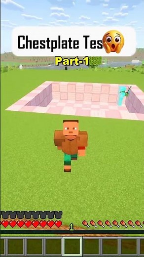 Minecraft Armour Test ⚔️ | Zombie vs Chestplate Sets