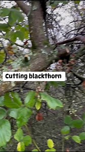 #walkingstick #ireland #handmade | McCaffrey Crafts