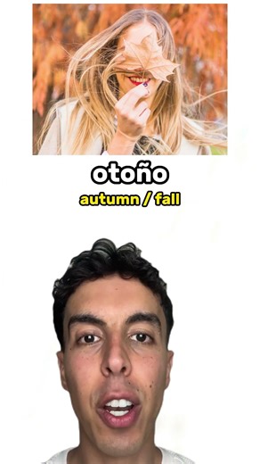 SEASONS in Spanish 🌸☀️🍂❄️