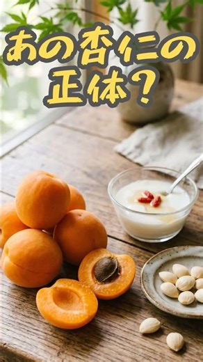 杏仁豆腐の「杏仁」ってなにもの？ #食トーク #shorts #あんず #杏仁豆腐 #初夏の果物