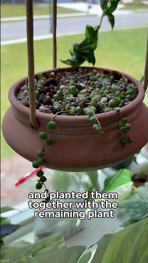 String of Pearls Propagation