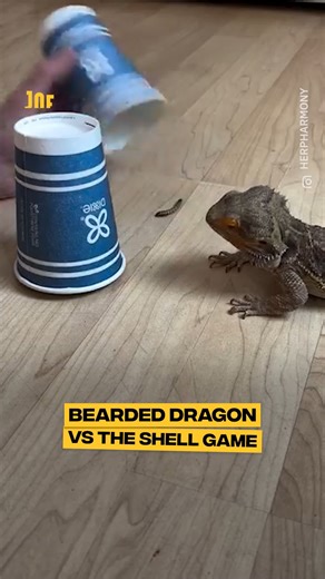 The look of betrayal 😂 | Comedy JOE