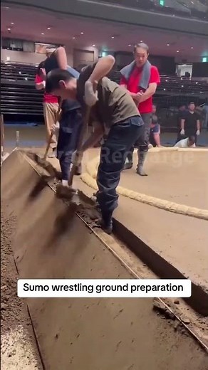 Rules of sumo Wrestling #sport #sumo