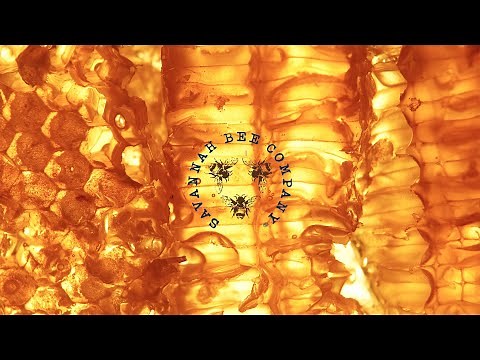 Savannah Bee Company