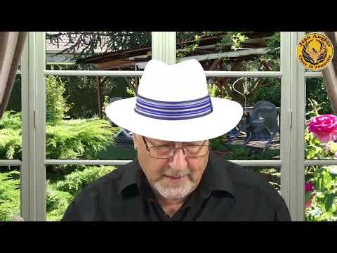 Ultimate Pendulum Guide for Emotional Assessment Mental Holding and Conventions Explained magneti...