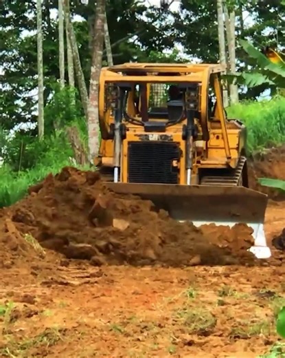 1.4K views · 34 reactions | Banana Plantation Road Service - CAT D6R XL Bulldozer Workers in Action | Bulldozer Forest | Facebook