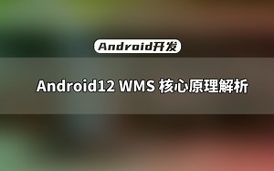 【Android开发教程】Framework训练营：Android12 WMS 核心原理解析