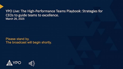 The High-Performance Teams Playbook: Strategies for CEOs to guide teams to excellence