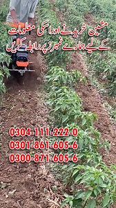 74K views · 617 reactions | Digging Machine | Tilling Machinery |...