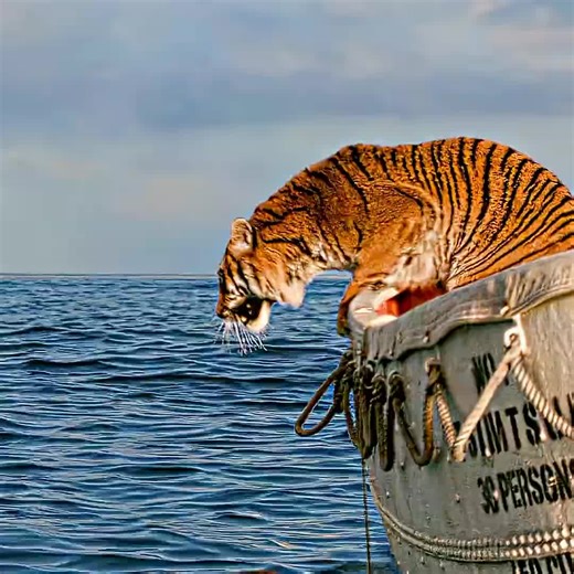 Innovative Tech Magic: Ghanghro and AI Trends