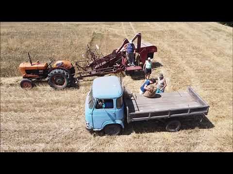 La moisson à l'ancienne 1950 1960
