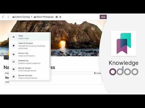 Odoo Knowledge - All your information in one place