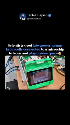 Lab-Grown Human Brain Cells Play DOOM🤯