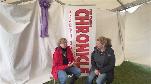 Susan Patterson chats about the Facebook resource for breeders: Canine Reproduction, Fertility and Neonatal Issues. #caninechronicletv #caninechronicle #tabletalklive #TableTalk | The Canine Chronicle