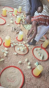 242K views · 6.6K reactions | We make smaller Brooders for easy management in the brooding stages | Peezel Farms "the livestock people" | Facebook