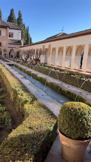 Ann Michelle Webber on Reels