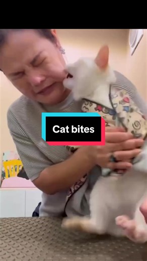 Comment NEWSLETTER for more similar health information and I’ll send you a link to sign up for my free weekly newsletter. 👉 As for the video, cat bites may seem benign but can be quite dangerous in terms of infection. Pasteurella multocida is the most common bacteria involved. 💊 Antibiotic prophylaxis for cat bites typically is Augmentin (or Unasyn if IV required). 🚨 Infections after a catbite can happen quite quickly, sometimes less than six hours. Flexor tenosynovitis in the fingers/hand is