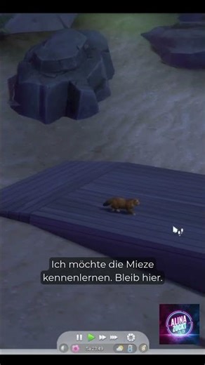 Katze Stalken Teil 1 - Die Sims 4 Stream | #sims4 #cozygaming #thesims4