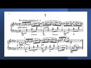 Dvorak's Humoresque No. 7: A Captivating Piano Performance by Henri Rebecq