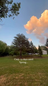 The spring countdown is officially ON! 🌷 Only 23 days until the first day of spring, 12 days until daylight savings time begins, and guess how many days until our farm stand opens back up for the season??! Official announcement coming SOON! ☺️🌸🤩💞 #spring #springcountdown #spring2025 #springflowers | Oak Hill Ranch, LLC