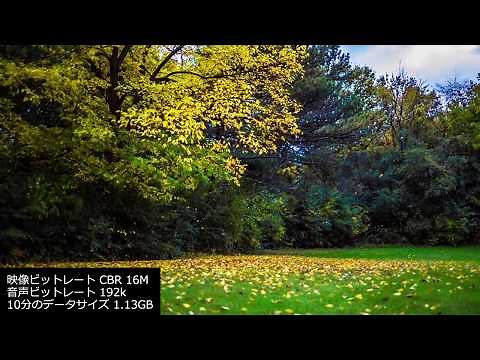 Mp4 export setting of Adobe Media Encoder [Tutorial]