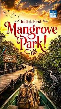 India’s First Mangrove Park Is Coming Soon! | Gorai Mangrove Park Explained | NEXT IAS