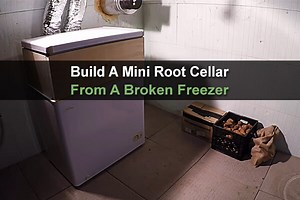 Build a Mini Root Cellar From a Broken Freezer
