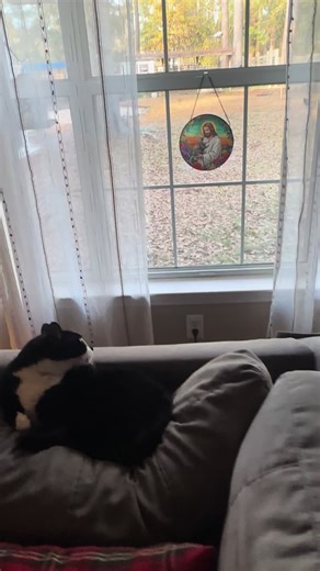 #comedy #statementpiece #conversationpiece #hippydecor #suncatcher