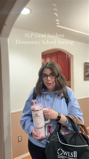 Heavy OWLS II Review and Insights for Grad Students