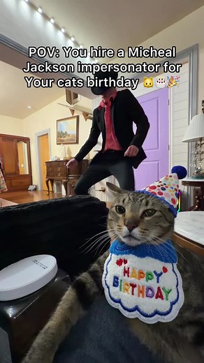 Celebrate Ming Ming's Birthday with Fun and Friends!
