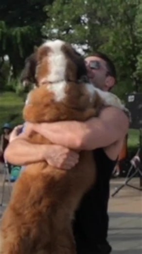 Remembering Lillie: My Heart Dog and Inspiration