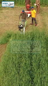 2.8K views · 20 reactions | All Rounder Reaper Machine | سارا سال کی...