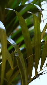 Ma is Kormányinfó | Vitályos Eszter