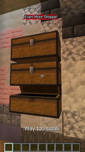 What's The Best Shop on the Hermitcraft Server