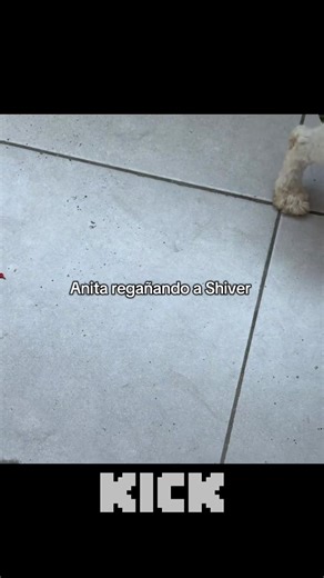 Anita Regaña a Shiver en un Momento Divertido