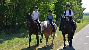 Anna, Nina, Pia und die Haustiere: Pferd | KiKA