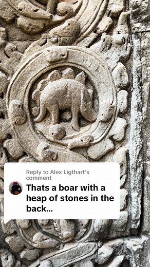 Exploring Dinosaur Bones with my Guide