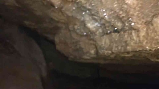 The cave in Georgia that hides miles of darkness below