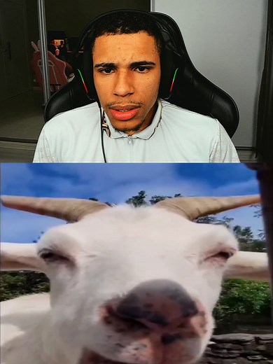 Tente não rir 🤣 #coffee_dfn